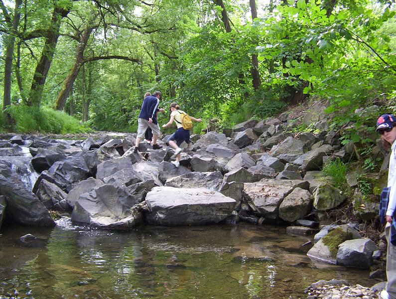 img00018.jpg