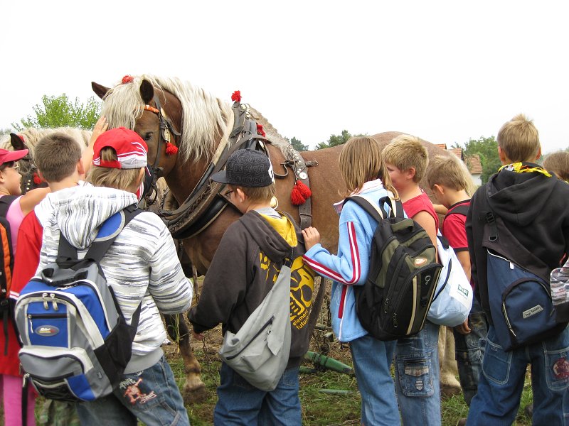 img00107.jpg