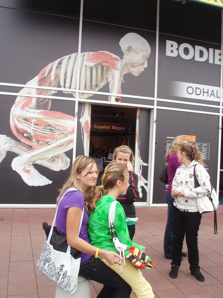 img00006.jpg