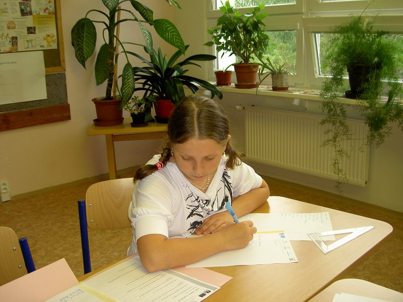 img00009.jpg