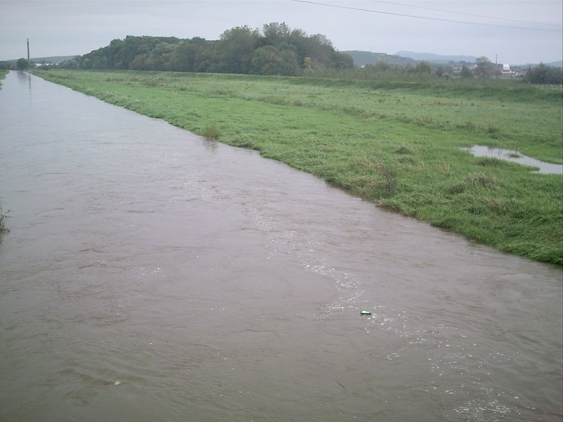 img00007.jpg