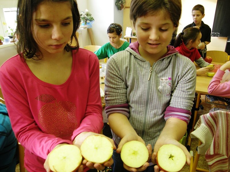 img00029.jpg