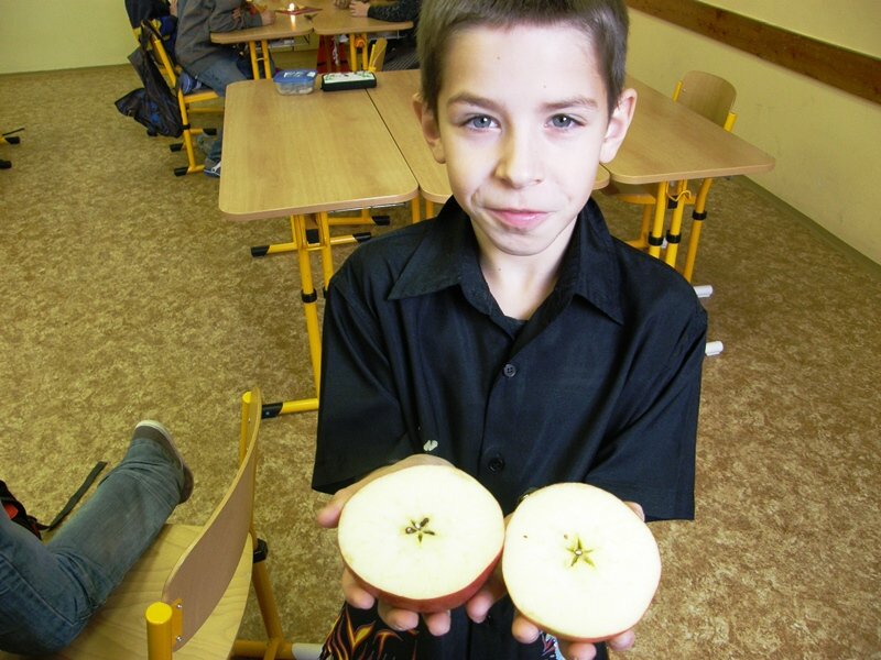 img00035.jpg