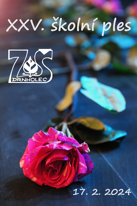 Vstup do fotogalerie