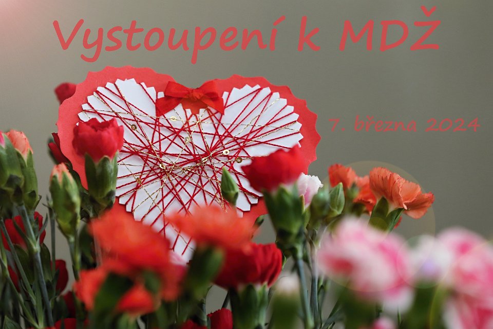 Vstup do fotogalerie