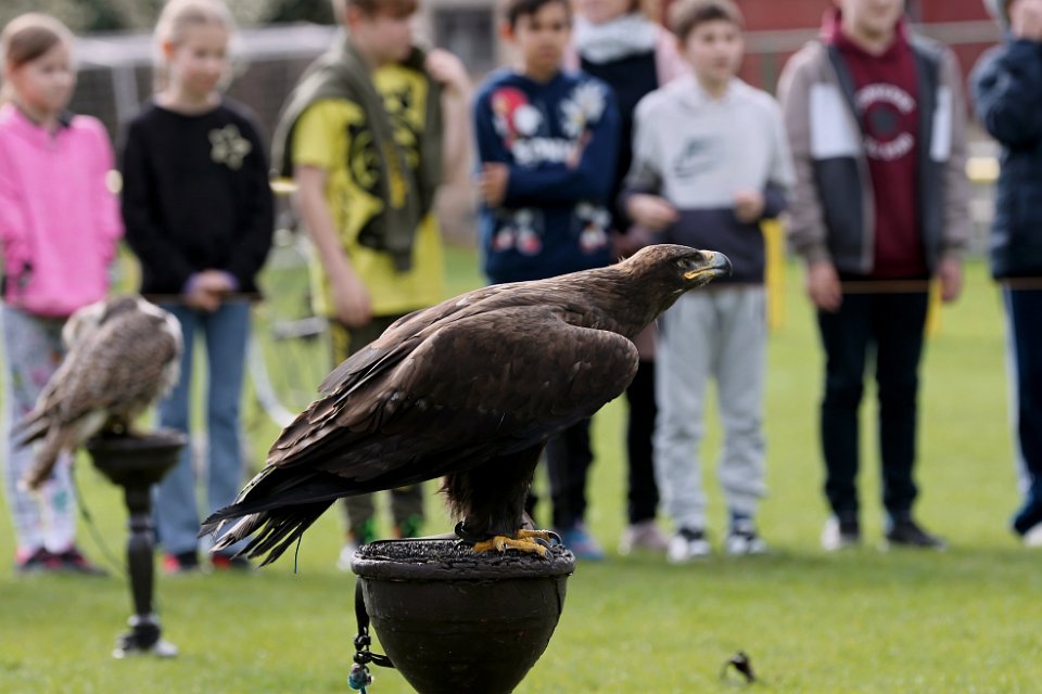 Vstup do fotogalerie
