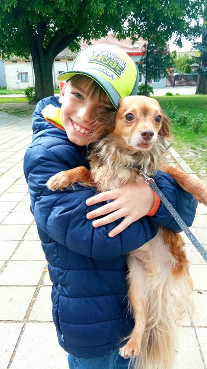 Vstup do fotogalerie