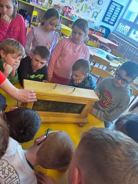 Vstup do fotogalerie