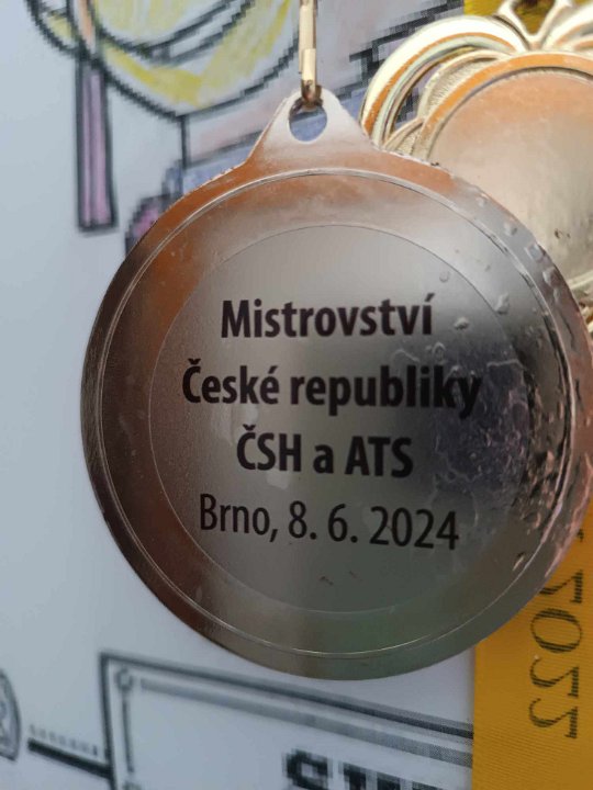 Vstup do fotogalerie