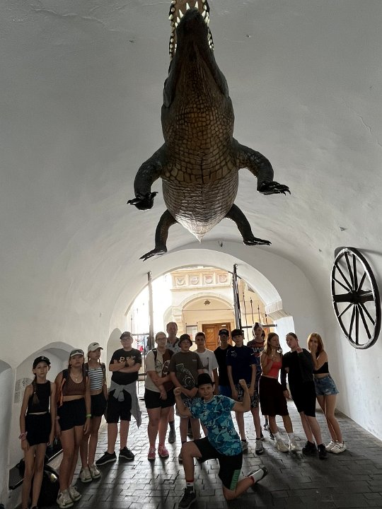 Vstup do fotogalerie